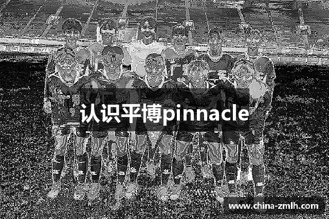 认识平博pinnacle